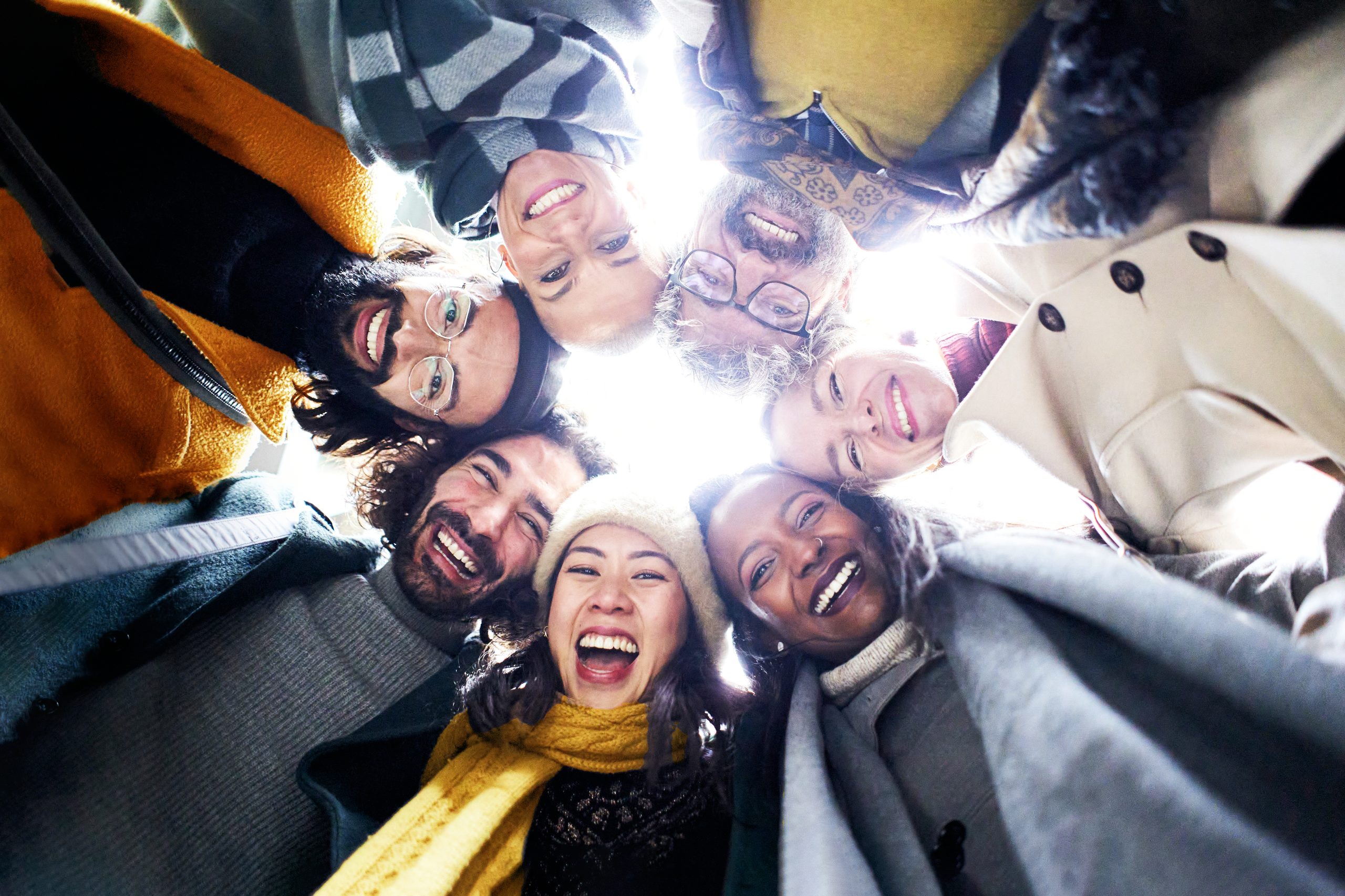 How diversity Shapes Connection
